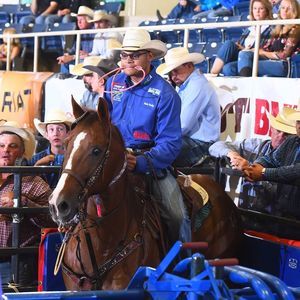 Meet your Posher, Austin